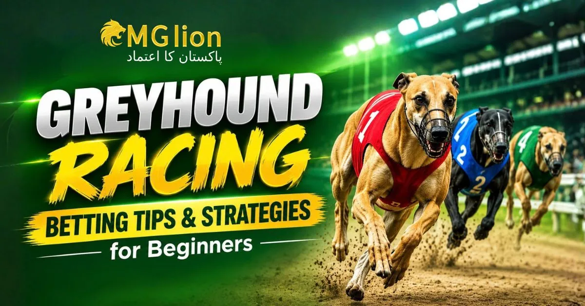 Greyhound Racing Betting Tips & Strategies for Beginners | MGLionPK